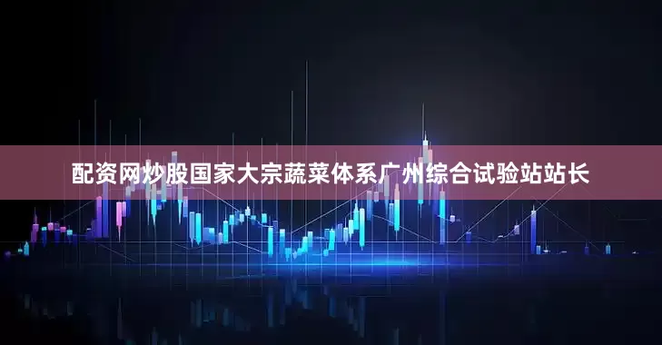 配资网炒股国家大宗蔬菜体系广州综合试验站站长