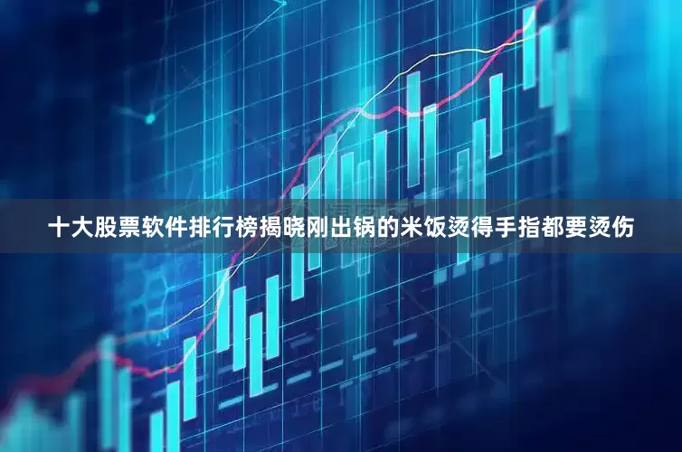 十大股票软件排行榜揭晓刚出锅的米饭烫得手指都要烫伤