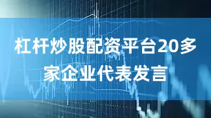 杠杆炒股配资平台20多家企业代表发言