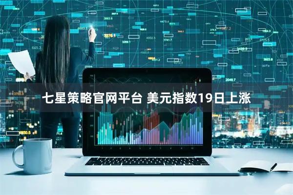 七星策略官网平台 美元指数19日上涨