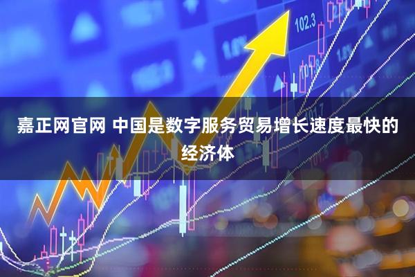 嘉正网官网 中国是数字服务贸易增长速度最快的经济体