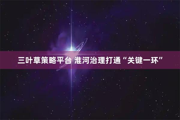 三叶草策略平台 淮河治理打通“关键一环”