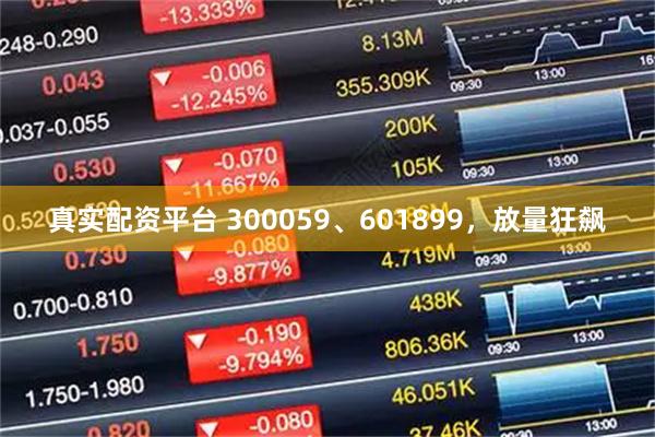 真实配资平台 300059、601899，放量狂飙