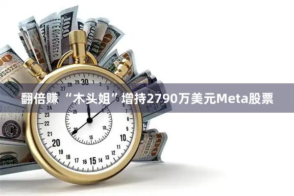 翻倍赚 “木头姐”增持2790万美元Meta股票